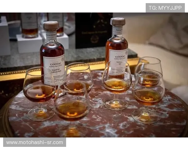 全面解析ag贵宾厅娱乐内容,带你领略奢华休闲新体验