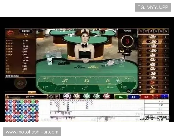 提升百家乐游戏胜率的秘密武器——百家乐路单记录器的详细使用方法介绍